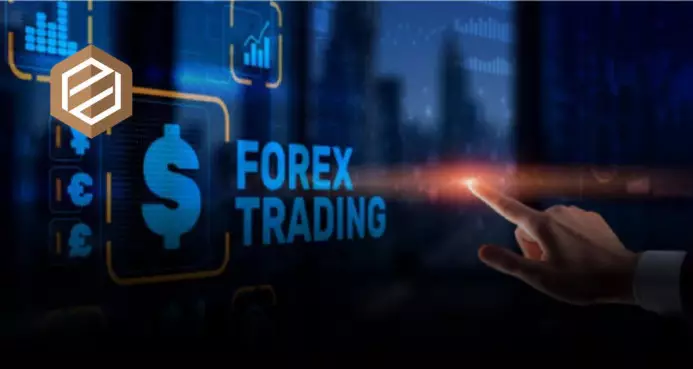 Ce este tranzactionarea Forex | Ghid pentru incepatori